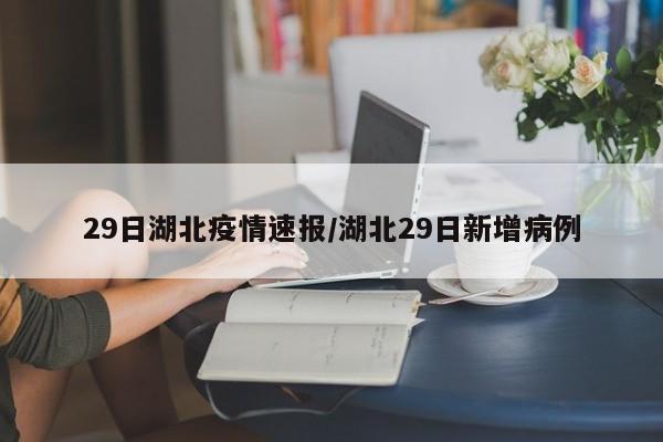 29日湖北疫情速报/湖北29日新增病例