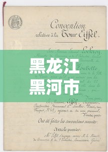 黑龙江黑河市新增1例阳性病例（黑龙江黑河新增4例本土确诊行动轨迹）