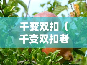千变双扣(千变双扣老版本) 千变双扣(千变双扣老版本)