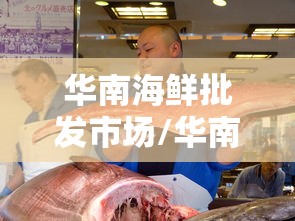 华南海鲜批发市场/华南海鲜批发市场现状 华南海鲜批发市场/华南海鲜批发市场现状