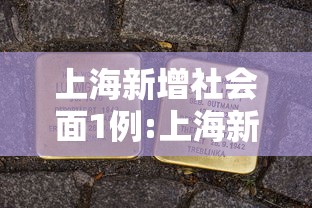 上海新增社会面1例:上海新增6人