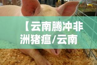 河北昨日新增6例无症状/河北昨日新增82例确诊49例无症状 河北昨日新增6例无症状/河北昨日新增82例确诊49例无症状