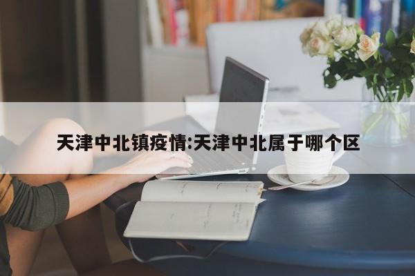 天津中北镇疫情:天津中北属于哪个区