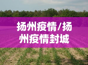 江苏昨日新增70例本土无症状/江苏昨日新增53例