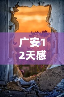 广安12天感染者破千(广安感染肺炎最新消息) 广安12天感染者破千(广安感染肺炎最新消息)