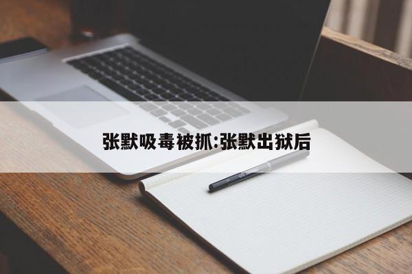 张默吸毒被抓:张默出狱后