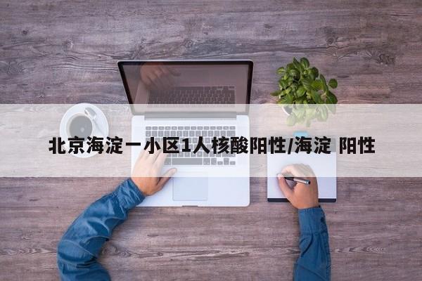 北京海淀一小区1人核酸阳性/海淀 阳性