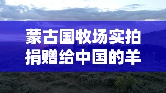 【安徽感染者或非零号,安徽感染者或非零号人员名单】