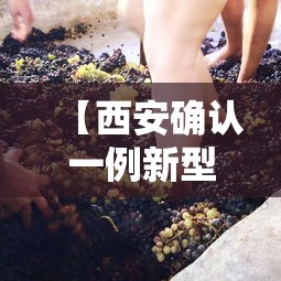【西安确认一例新型冠状病毒/西安确诊新型肺炎病例】