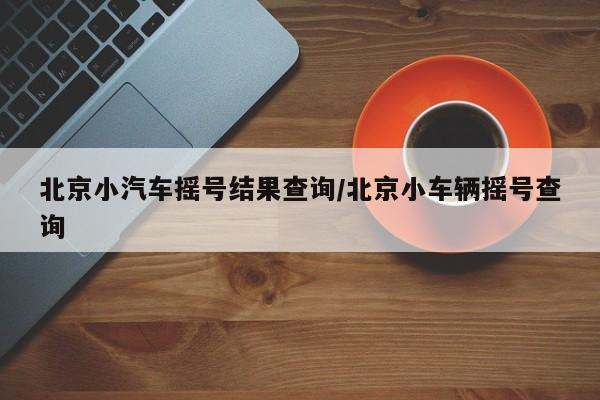 北京小汽车摇号结果查询/北京小车辆摇号查询