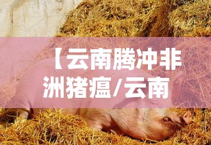 【黑龙江新增本土7例/黑龙 江新增本土确诊11例】