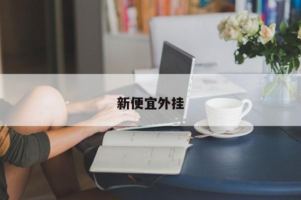 新便宜外挂